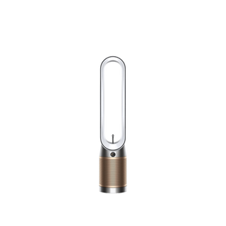 Purifier Cool Dyson™